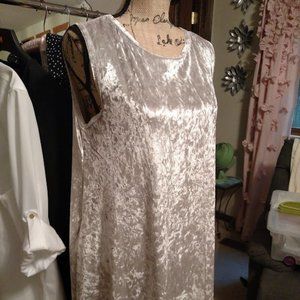 Honey and Lace Velvet Dress NWT